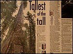 News about discovery of tall trees by Oregon tree expert Vaden