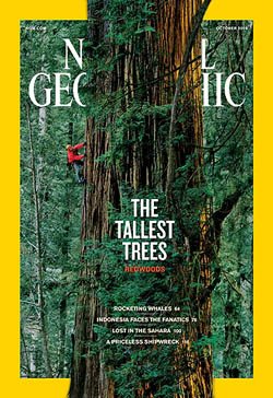 October 2009 Coast Redwood National Geographic article