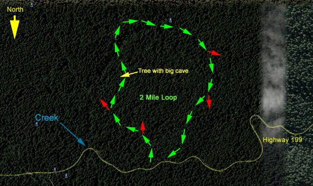 Map of redwood exploration for tallest known redwood in Jedediah Smith