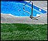 New landscaping drainage and sod lawn in Portland