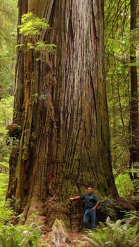 landscaper from Portland, Oregon