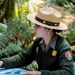 Woman Ranger helping visitors in the redwood park