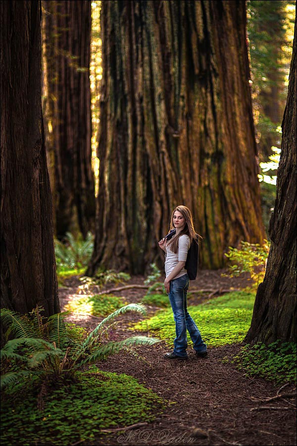 Coast Redwood Tour woman between coast redwood trunks at Redwood National Park
