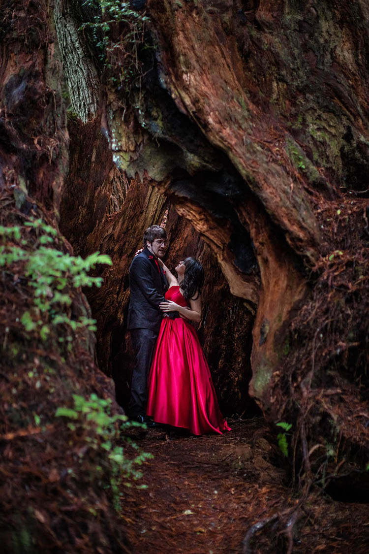 Redwood Weddings with couple  inside an old trunk wearing black suit and red gown