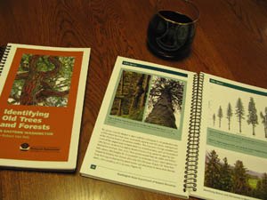 Books by Robert Van Pelt who wrote Forest Giants