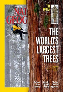 December 2012 Giant Sequoia President National Geographic article