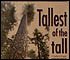 Tree News about tree exploration and discovery