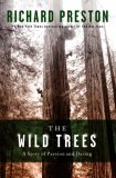 The Wild Trees by Preston Book Review, character Steve Sillett, Michael Taylor