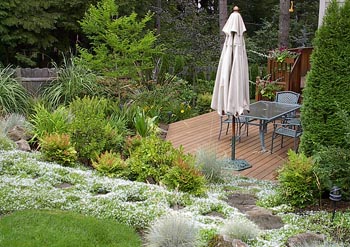 benson landscape design, Tigard