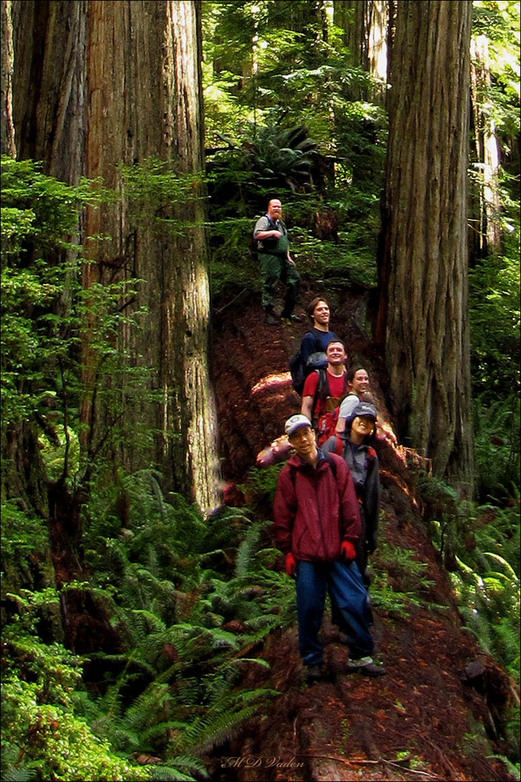 Redwood exploreer and canopy scientist Robert Van Pelt with Steve Sillett and Marie Antoinne