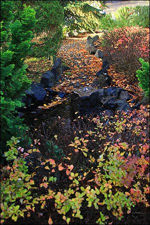 drainage near Portland at Beaverton residence, with French drain, pipe and drain rock