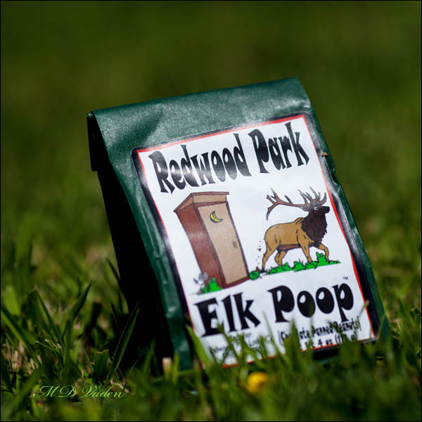 Edible Elk poop near Redwood National Park
