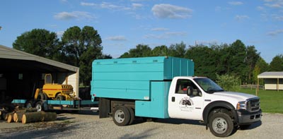 Bloomington tree service