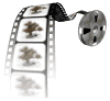 Bloomington tree service