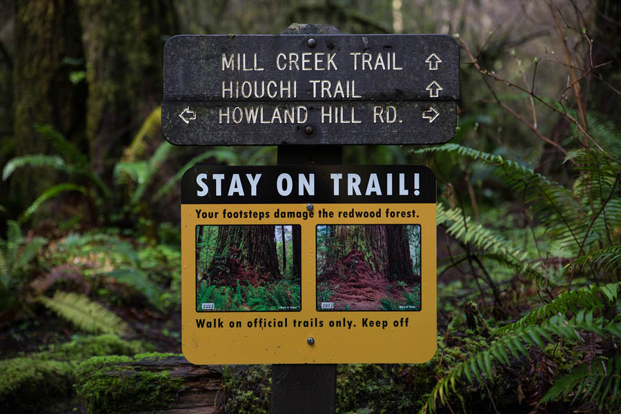 Grove of Titans sign post for redwood hikers