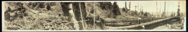 Historic logging scene in forest with people