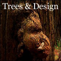 Important priority for landscaped design