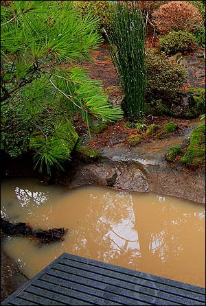 waterfall in Portland area with sediment