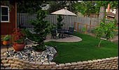 Landscaping with pavers, Hinoki cypress trees and sod in Beaverton Oregon