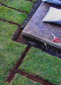 miniature drainage trenches