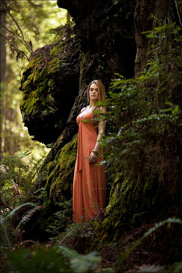 Giant Mutant Coast Redwood with Kiera Hulsey