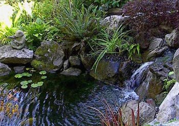 Portland water feature, pond, design