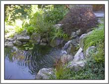Portland Landscape Design