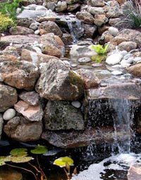 Portland ponds and Beaverton water feature with plants