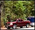 Camping and Hiking in coast redwood forest
