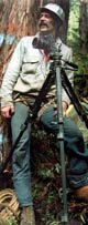 Redwood climber Beranek