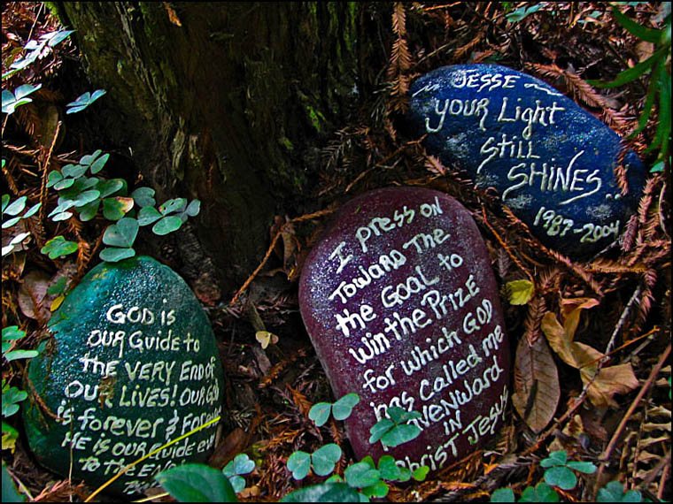 hidden redwood memorial grove for jesse in Jedediah Smith Redwoods
