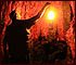 In redwoods at night holding a lantern for light in a goosepen