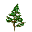 redwood forest tree groves of California