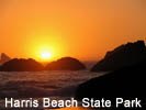 Harris Beach State Park near the redwood forest