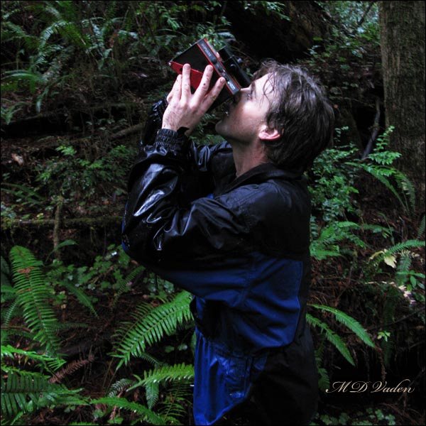 Michael Taylor measuring near Dog Soldier in Redwood National Park