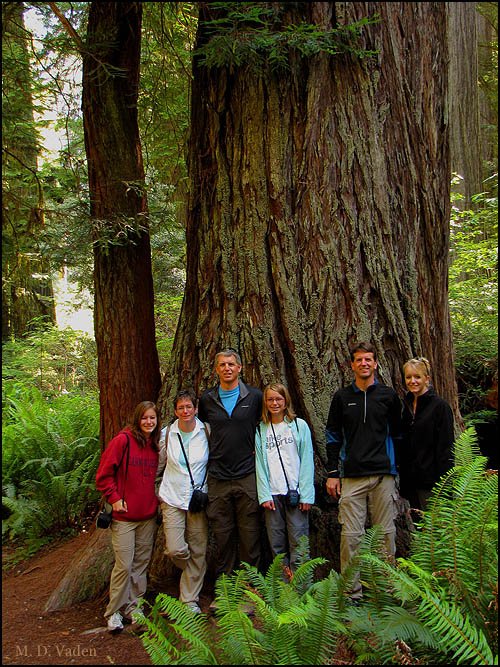 Family of hikers at Simpson Reed redwoods discovery trail at Jedediah Smith park