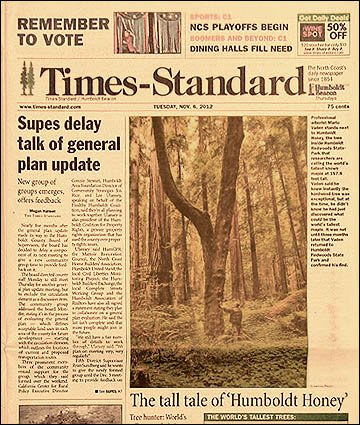 Tallest Bigleaf Maple news cover story