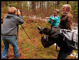 Mail Tribune News Paul Fettig and Photographer Julia cover new tallest pine discovery