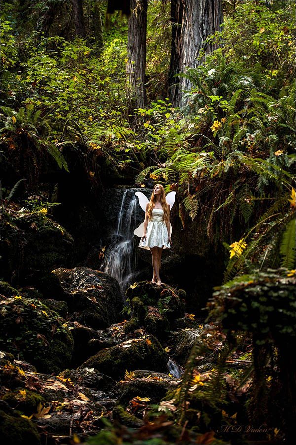 trillium falls coast redwood trail waterfall and autumn leaves
