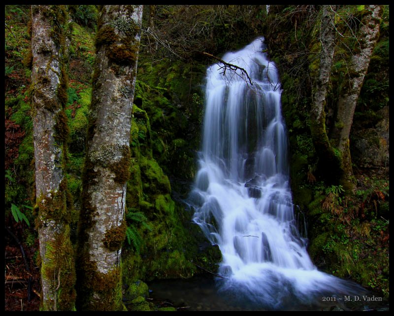 Oregon Siskiyou National Forest waterfall by M. D. Vaden, arborist