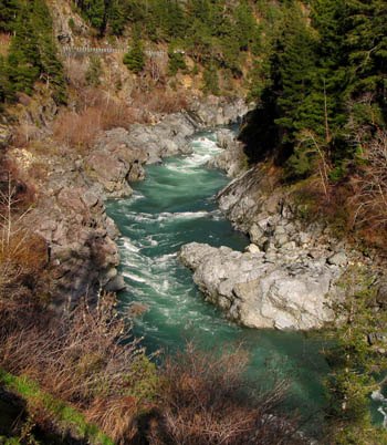 Del Norte Titan Coast Redwood discovered by Sillett and Taylor