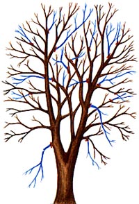 pruning guide and tips