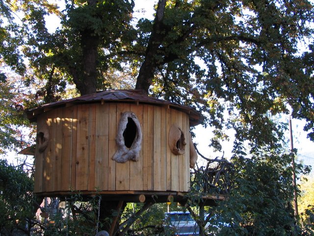tree house in Oregon