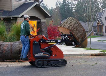 Portland arborist doing view clearing