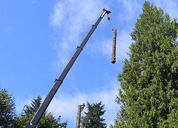 Portland tree service arborist and crane doing a tree removal