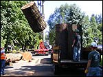 Tree services workers loading logs removed from Douglas fir