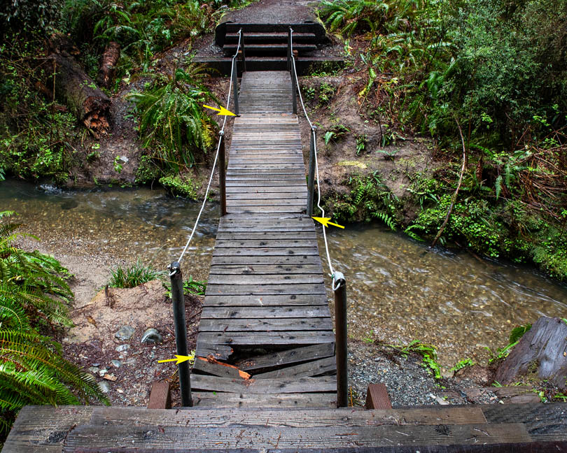 bridge boardwalk collapse near the grove of titans in Jedediah Smith redwood park