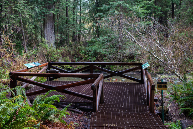 Grove of Titans redwood trail and deck overlooking Mill Creek