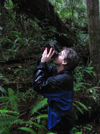 michael taylor measuring redwood with laser rangefinder