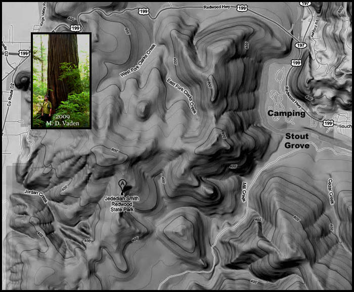 Map of Jedediah Smith Redwoods with Tallest Port Orford Cedar